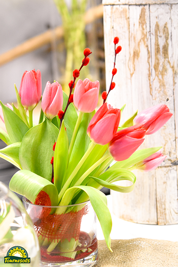 Bouquet de tulipes dans les jardineries Tournesols